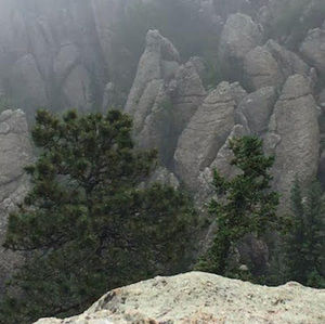 Meet your Posher, Johnny